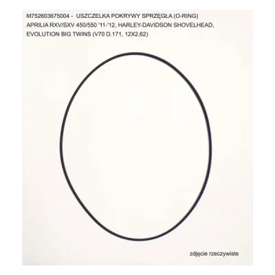 Uszczelka pokrywy sprzęgła Athena O-Ring 2,62x171,12 mm (M752603675004) Uszczelka pokrywy sprzęgła Athena O-Ring 2,62x171,12 mm (M752603675004)