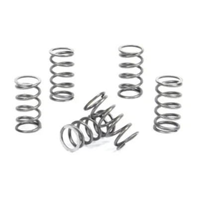 Sprężyny sprzęgła ProX Kawasaki KX 60 65 83-16 RM 65 03-05 (17.CS40012) Sprężyny sprzęgła ProX Kawasaki KX 60 65 83-16 RM 65 03-05 (17.CS40012)