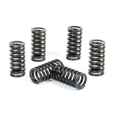 Sprężyny sprzęgła ProX Suzuki RM 250 98-05 (17.CS33024)