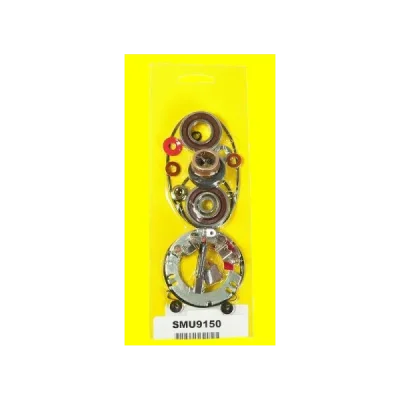 Zestaw naprawczy rozrusznika Arrowhead z uchwytem (SMU9150) Zestaw naprawczy rozrusznika Arrowhead z uchwytem (SMU9150)