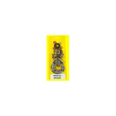 Zestaw naprawczy rozrusznika Arrowhead (SMU9143)