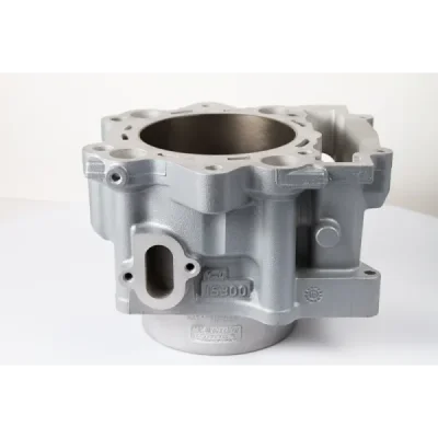 Cylinder Works solo Yamaha YFM 700 Grizzly 07-15 102mm nicasil (20104)