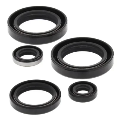 Komplet uszczelniaczy silnika Winderosa Kawasaki KVF 300A Prairie 4x4 99-02 KVF 300B Prairie 2X4 99-02 (822244)