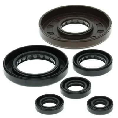 Komplet uszczelniaczy silnika Winderosa Honda TRX 450ES 98-01 TRX 450FE 02-04 TRX 450FM 02-04 TRX 450S 98-01 (822209)