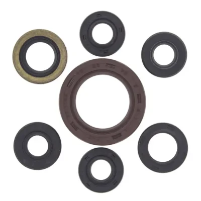 Komplet uszczelniaczy silnika Winderosa Suzuki LTZ 400 03-14 Arctic Cat 400 DVX 04-08 (822201) Komplet uszczelniaczy silnika Winderosa Suzuki LTZ 400 03-14 Arctic Cat 400 DVX 04-08 (822201)