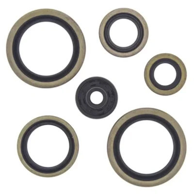 Komplet uszczelniaczy silnika Winderosa KTM SX125 98-14 EXC125 98-14 SX EXC200 98-14 SX144 150 07-14 (822187) Komplet uszczelniaczy silnika Winderosa KTM SX125 98-14 EXC125 98-14 SX EXC200 98-14 SX144 150 07-14 (822187)