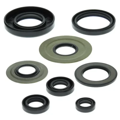 Komplet uszczelniaczy silnika Winderosa Yamaha YFM 350 Raptor 04-13 Warrior 350 87-04 (822155) Komplet uszczelniaczy silnika Winderosa Yamaha YFM 350 Raptor 04-13 Warrior 350 87-04 (822155)