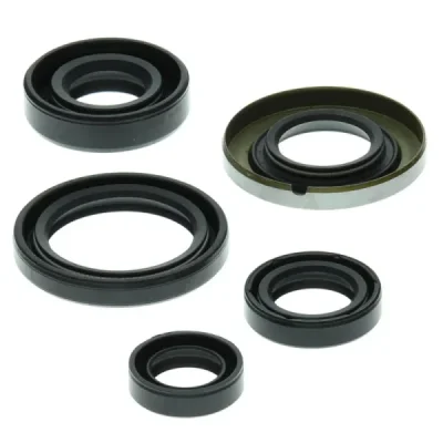 Komplet uszczelniaczy silnika Winderosa Honda TRX 400 EX 99-04 (822139) Komplet uszczelniaczy silnika Winderosa Honda TRX 400 EX 99-04 (822139)