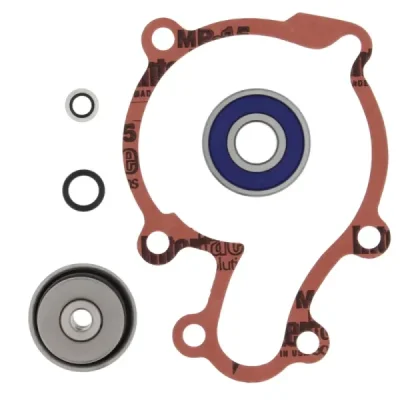Zestaw naprawczy pompy wody Winderosa (Vertex) Polaris Predator 500 03-04 (821876)