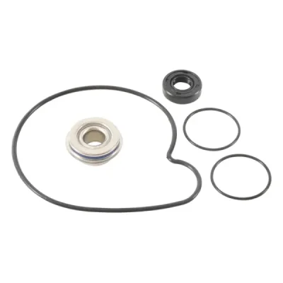 Zestaw naprawczy pompy wody Winderosa (Vertex) Polaris 900/1000 (821001) Zestaw naprawczy pompy wody Winderosa (Vertex) Polaris 900/1000 (821001)