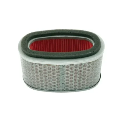 TECNIUM (VICMA) FILTR POWIETRZA POWIETRZA HONDA VT 750 C2/CA/RS/S (04-13) (9589) (AF1712V)