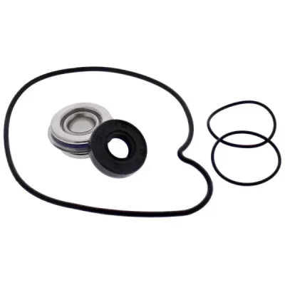Zestaw naprawczy pompy wody Hot Rods RZR Ranger (WPK0069) Zestaw naprawczy pompy wody Hot Rods RZR Ranger (WPK0069)