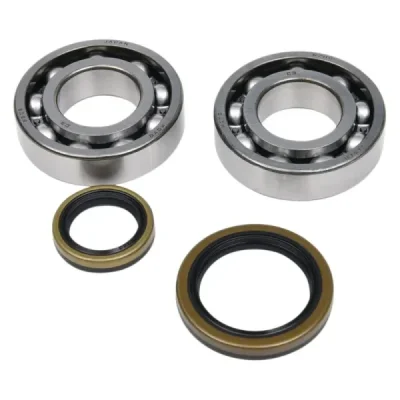 Komplet łożysk wału z uszczelniaczami All Balls Beta EVO 4T 250 09-18 EVO 4T 300 09-21 (24-1129) Komplet łożysk wału z uszczelniaczami All Balls Beta EVO 4T 250 09-18 EVO 4T 300 09-21 (24-1129)