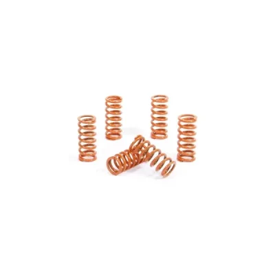 Sprężyny sprzęgła ProX KTM 450 520 525 SX-EXC 00-07 (17.CS65041) Sprężyny sprzęgła ProX KTM 450 520 525 SX-EXC 00-07 (17.CS65041)