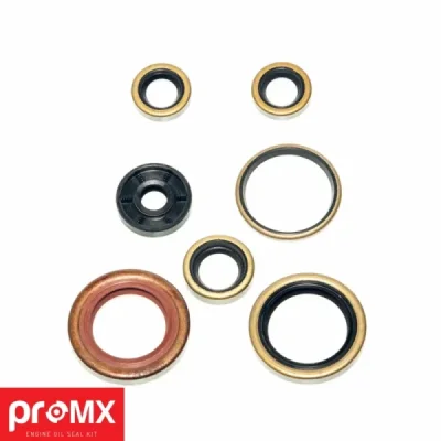 Komplet - zestaw uszczelniaczy silnikowych 7szt ProMX KTM SX-F 250 06-11 (PR0305) Komplet - zestaw uszczelniaczy silnikowych 7szt ProMX KTM SX-F 250 06-11 (PR0305)