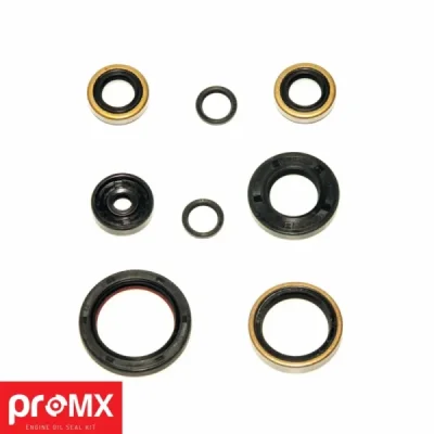 Komplet - zestaw uszczelniaczy silnikowych ProMX KTM SX 85 03-10 8 szt (PR0301) Komplet - zestaw uszczelniaczy silnikowych ProMX KTM SX 85 03-10 8 szt (PR0301)