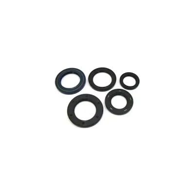 Komplet uszczelniaczy silnika Winderosa Honda CRF 450R 02-06 (822178)