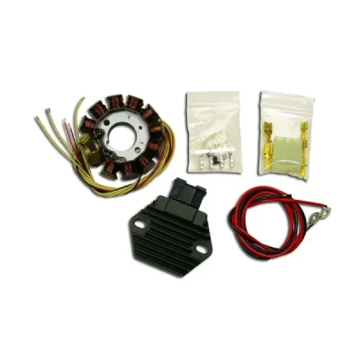 Uzwojenie alternatora stator Electrex kpl. z regulatorem napięcia KTM 250 EXC-E, 300 EXC-E (08-) (G149/RR58)