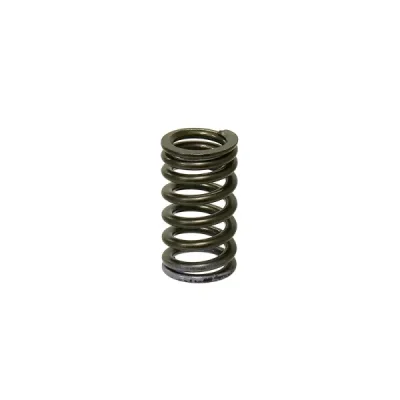 Sprężyna zaworu wydechowego Psychic Yamaha YZF 250 14-16 (MX-09553ES) (XU-09553ES) Sprężyna zaworu wydechowego Psychic Yamaha YZF 250 14-16 (MX-09553ES) (XU-09553ES)