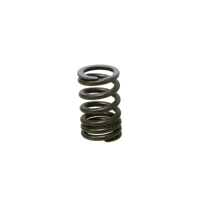 Sprężyna zaworu ssącego Psychic Kawasaki KXF 250 07-08 (MX-09552IS) (XU-09552IS) Sprężyna zaworu ssącego Psychic Kawasaki KXF 250 07-08 (MX-09552IS) (XU-09552IS)