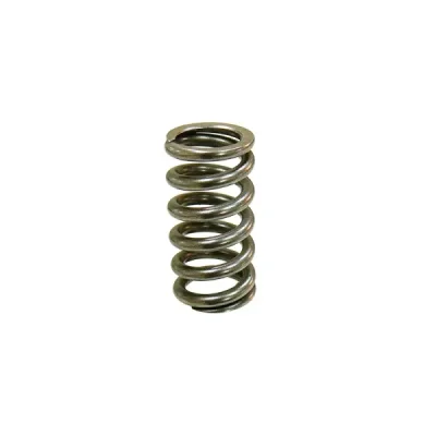 Sprężyna zaworu ssącego Psychic KTM SXF 250 08-12 EXCF 250 08-13 (MX-09551IS) (XU-09551IS)