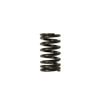Sprężyna zaworu ssącego Psychic Yamaha YZF 450 10-16 (MX-09541IS) (XU-09541IS) Sprężyna zaworu ssącego Psychic Yamaha YZF 450 10-16 (MX-09541IS) (XU-09541IS)