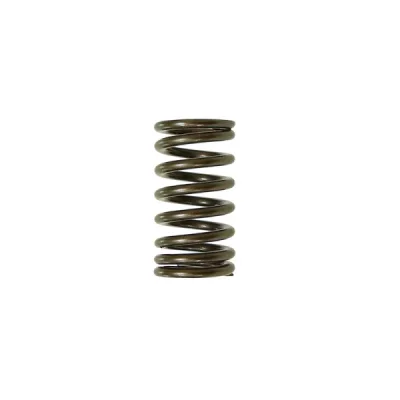 Sprężyna zaworu wydechowego Psychic Yamaha YZF 450 10-16 (MX-09541ES) (XU-09541ES) Sprężyna zaworu wydechowego Psychic Yamaha YZF 450 10-16 (MX-09541ES) (XU-09541ES)
