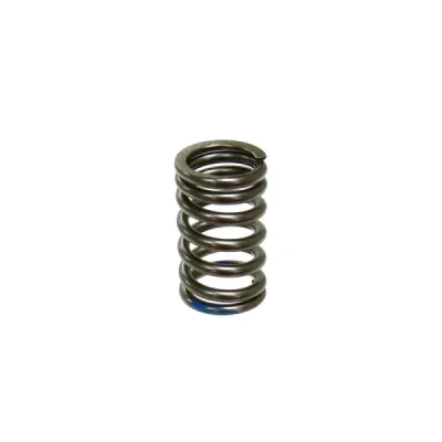 Sprężyna zaworu ssącego Psychic Kawasaki KXF 250 07-10 (MX-09540IS) (XU-09540IS) Sprężyna zaworu ssącego Psychic Kawasaki KXF 250 07-10 (MX-09540IS) (XU-09540IS)