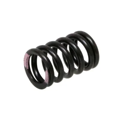 Sprężyna zaworu ssącego Psychic Kawasaki KXF 250 11-16 (MX-09539IS) (XU-09539IS)