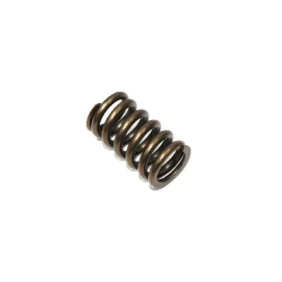 Sprężyna zaworu ssącego Psychic Kawasaki KXF 450 06-17 KFX 450R 08-14 KLX 450R 08-17 (MX-09528IS) (XU-09528IS) Sprężyna zaworu ssącego Psychic Kawasaki KXF 450 06-17 KFX 450R 08-14 KLX 450R 08-17 (MX-09528IS) (XU-09528IS)