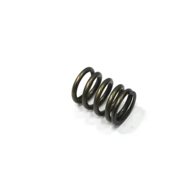 Sprężyna zaworu ssącego Psychic Suzuki RMZ 450 08-15 RMX 450 10-14 (MX-09527IS) (XU-09527IS)