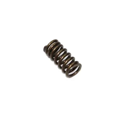 Sprężyna zaworu ssącego Psychic Honda CRF 250R 04-09 X 04-13 (MX-09526IS) (XU-09526IS) Sprężyna zaworu ssącego Psychic Honda CRF 250R 04-09 X 04-13 (MX-09526IS) (XU-09526IS)
