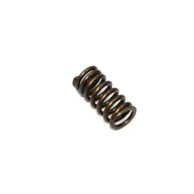 Sprężyna zaworu wydechowego Psychic Honda CRF 250R 04-07 CRF 250X 04-13 (MX-09503ES) (XU-09503ES) Sprężyna zaworu wydechowego Psychic Honda CRF 250R 04-07 CRF 250X 04-13 (MX-09503ES) (XU-09503ES)