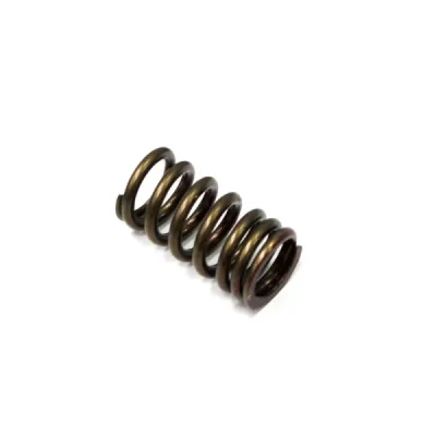 Sprężyna zaworu wydechowego Psychic Honda CRF 450R 02-08 (MX-09502ES) (XU-09502ES) Sprężyna zaworu wydechowego Psychic Honda CRF 450R 02-08 (MX-09502ES) (XU-09502ES)