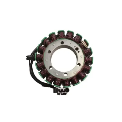 Electrosport 2025/02 Uzwojenie Alternatora Stator Bmw G 650 Gs