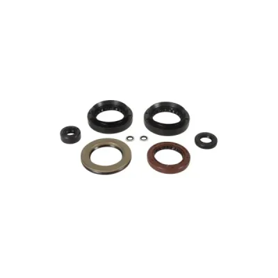 Komplet uszczelniaczy silnika Winderosa Arctic Cat 500 TRV 13-14 500 XT EFI 13-14 (822382)