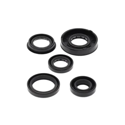 Komplet uszczelniaczy silnika Winderosa Polaris Predator 90 05-06 Sportsman 90 05-06 (822322) Komplet uszczelniaczy silnika Winderosa Polaris Predator 90 05-06 Sportsman 90 05-06 (822322)