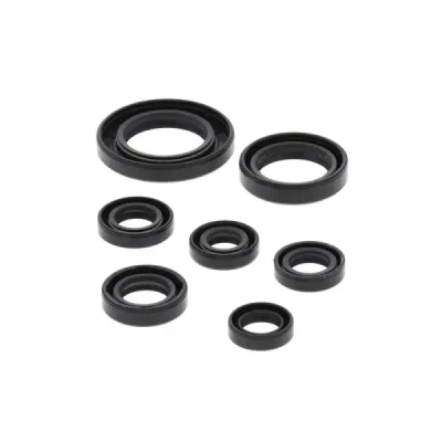Komplet uszczelniaczy silnika Winderosa Honda TRX 250TE Recon 02-21 TRX 250TM Recon 02-21 TRX 250X EX Sportrax 01-21 (822311) Komplet uszczelniaczy silnika Winderosa Honda TRX 250TE Recon 02-21 TRX 250TM Recon 02-21 TRX 250X EX Sportrax 01-21 (822311)