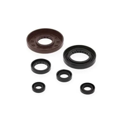 Komplet uszczelniaczy silnika Winderosa Honda TRX 500FE 05-11 TRX 500FPE 07-11 (822276) Komplet uszczelniaczy silnika Winderosa Honda TRX 500FE 05-11 TRX 500FPE 07-11 (822276)