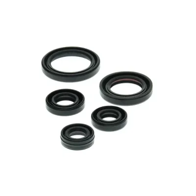Komplet uszczelniaczy silnika Winderosa Yamaha YFM 50 Raptor 04-08 (822263) Komplet uszczelniaczy silnika Winderosa Yamaha YFM 50 Raptor 04-08 (822263)