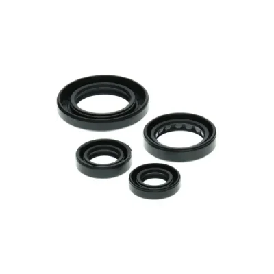 Komplet uszczelniaczy silnika Winderosa Honda TRX 250 Recon 97-01 (822211) Komplet uszczelniaczy silnika Winderosa Honda TRX 250 Recon 97-01 (822211)