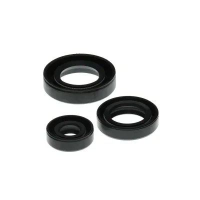 Komplet uszczelniaczy silnika Winderosa Kawasaki KLF 400 Bayou 93-99 (822199) Komplet uszczelniaczy silnika Winderosa Kawasaki KLF 400 Bayou 93-99 (822199)