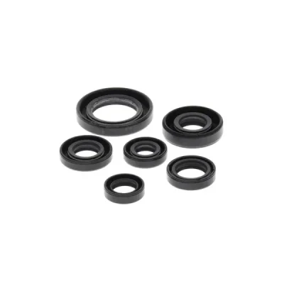 Komplet uszczelniaczy silnika Winderosa Honda TRX 300 EX 93-08 TRX 300 X 09 (822146) Komplet uszczelniaczy silnika Winderosa Honda TRX 300 EX 93-08 TRX 300 X 09 (822146)