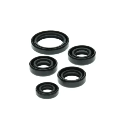 Komplet uszczelniaczy silnika Winderosa Kawasaki KLF 220 Bayou 88-02 KLF250 Bayou 03-11 (822138) Komplet uszczelniaczy silnika Winderosa Kawasaki KLF 220 Bayou 88-02 KLF250 Bayou 03-11 (822138)
