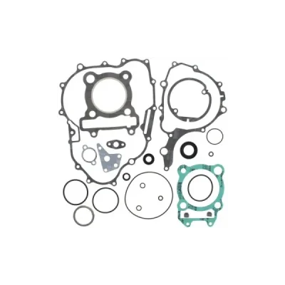 Komplet uszczelek i uszczelniaczy silnika Winderosa Yamaha XT 250 08-21 YFM 250 Raptor 08-13 (811924)