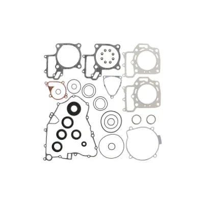 Komplet uszczelek (811879) Komplet uszczelek (811879)