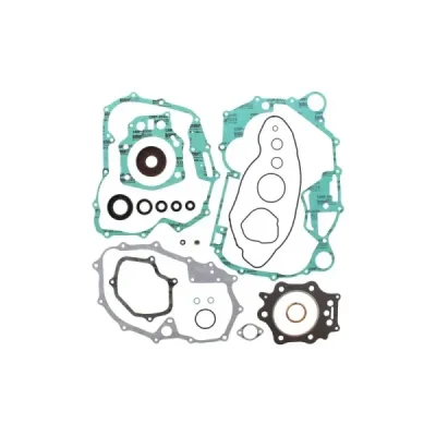 Komplet uszczelek (811859) Komplet uszczelek (811859)