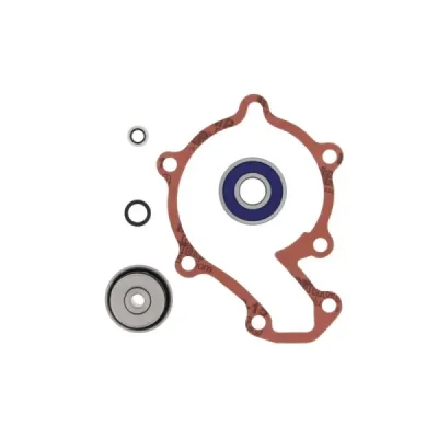 Zestaw naprawczy pompy wody ProX Polaris Predator 500 05-07 (57.7525) Zestaw naprawczy pompy wody ProX Polaris Predator 500 05-07 (57.7525)