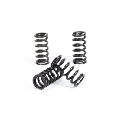 Sprężyny sprzęgła ProX XR 600 R 85-00 XR 650 L 93-15 (17.CS16046) Sprężyny sprzęgła ProX XR 600 R 85-00 XR 650 L 93-15 (17.CS16046)