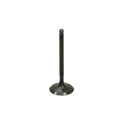 Zawór ssący Bronco stalowy Polaris RZR 170 09-18 (454523) (AU-09213I) Zawór ssący Bronco stalowy Polaris RZR 170 09-18 (454523) (AU-09213I)